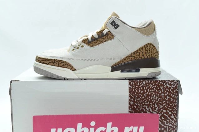 Air 379 StreetReady 3 “Palomino” 9353 CT8532- Jordan 0811